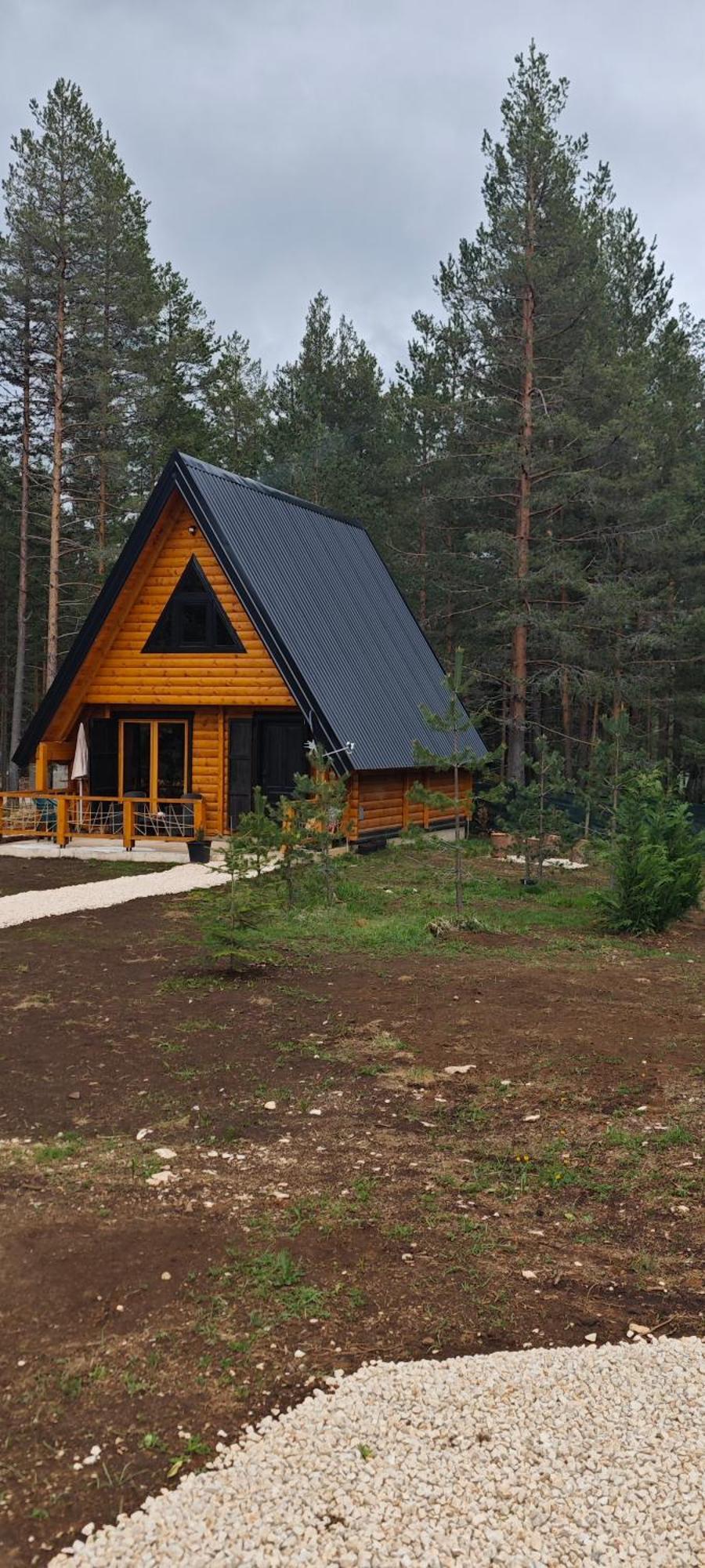 Pine Forest-white 木屋 *